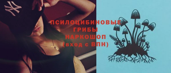 стаф Абинск