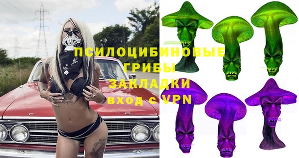 стаф Абинск
