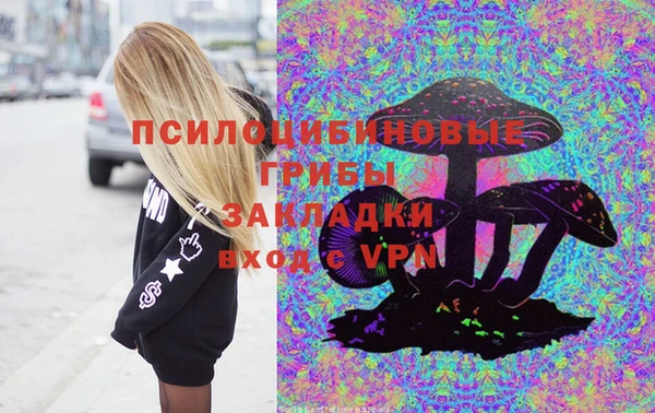 не бодяженный Михайловск