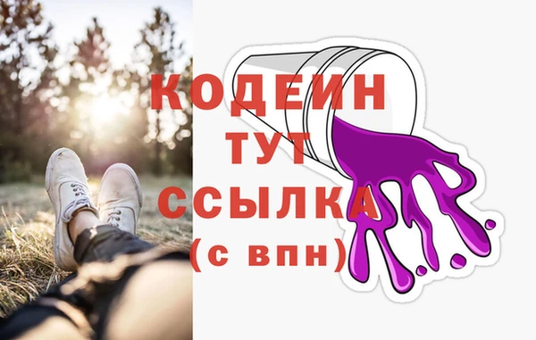 прущие крисы Абаза