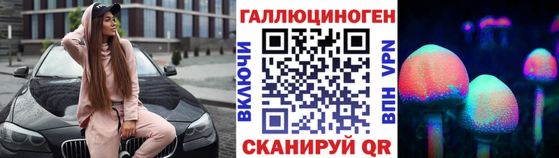закладка  Мурино  Галлюциногенные грибы GOLDEN TEACHER 